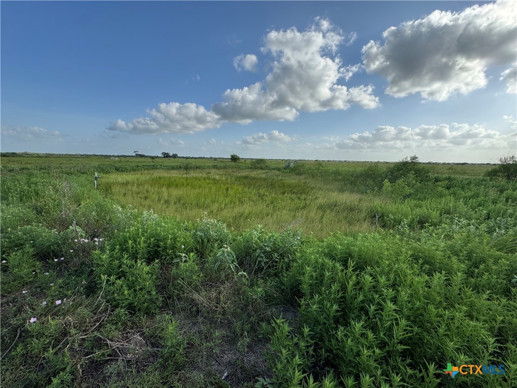 000 County Road 18 61.46 Acres Tract 2 & 3 Property Photo 6