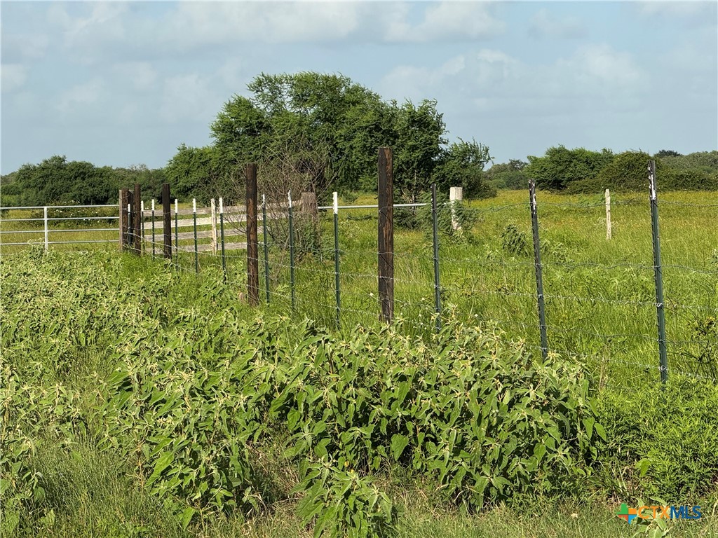 000 County Road 18 61.46 Acres Tract 2 & 3 Property Photo 7