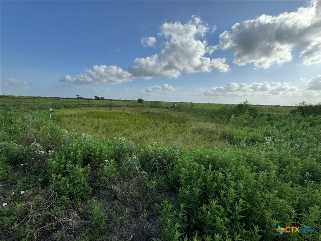 000 County Road 18 61.46 Acres Tract 2 & 3 Property Photo 14
