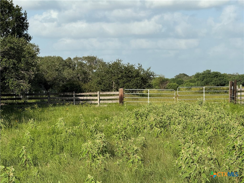 000 County Road 18 61.46 Acres Tract 2 & 3 Property Photo 20