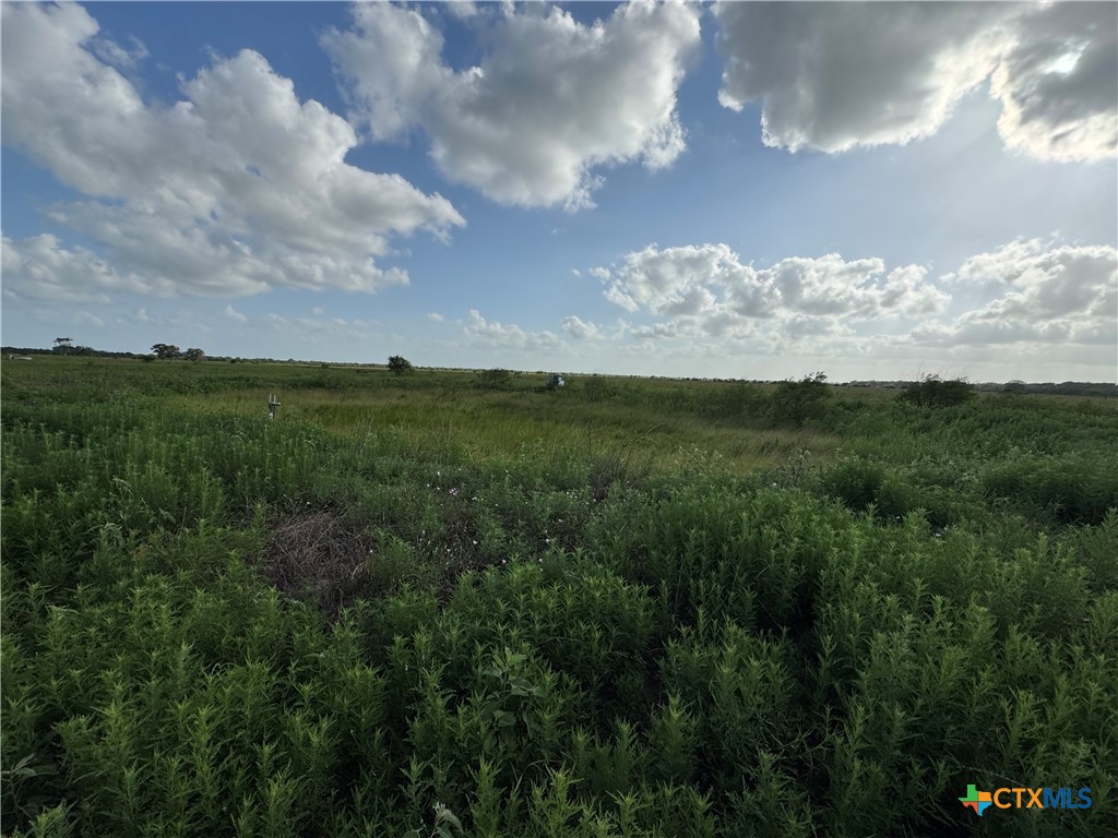 000 County Road 18 61.46 Acres Tract 2 & 3 Property Photo 22