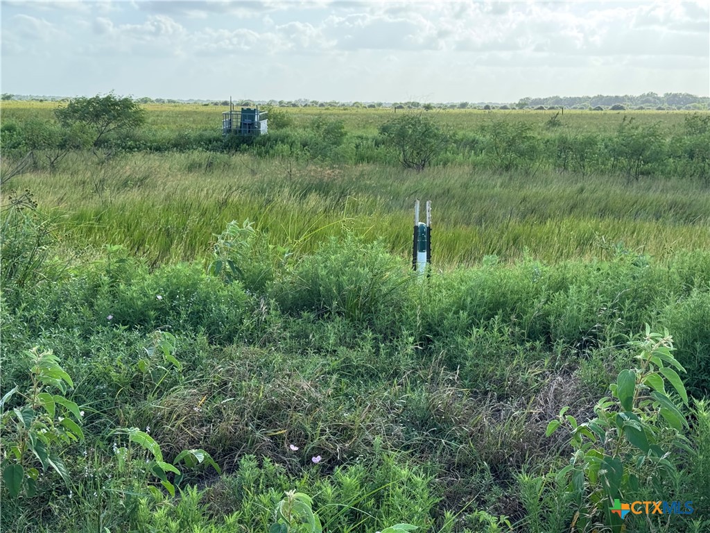 000 County Road 18 61.46 Acres Tract 2 & 3 Property Photo 24