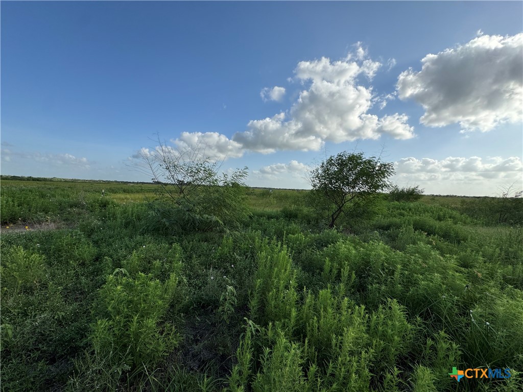 000 County Road 18 61.46 Acres Tract 2 & 3 Property Photo 25