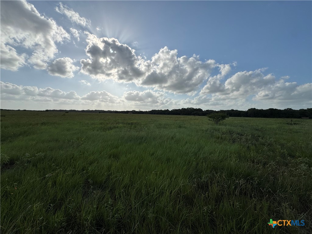 000 County Road 18 61.46 Acres Tract 2 & 3 Property Photo 27