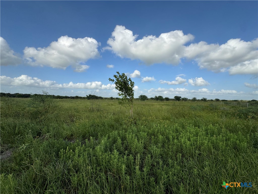 000 County Road 18 61.46 Acres Tract 2 & 3 Property Photo 29