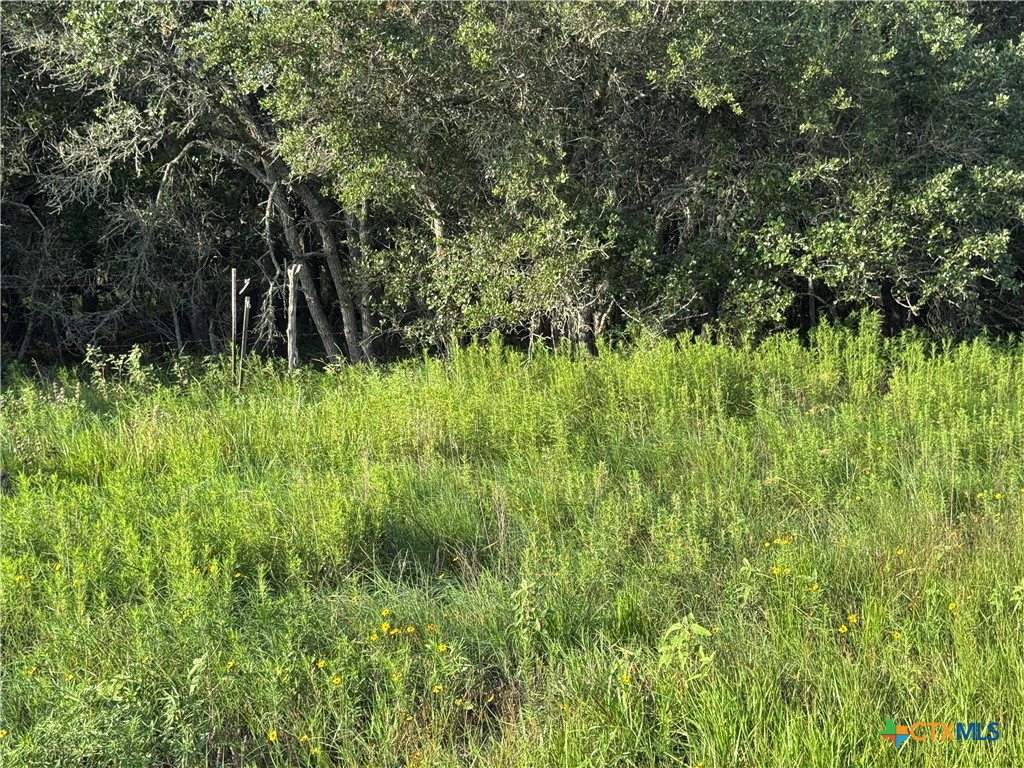 000 County Road 18 61.46 Acres Tract 2 & 3 Property Photo 33