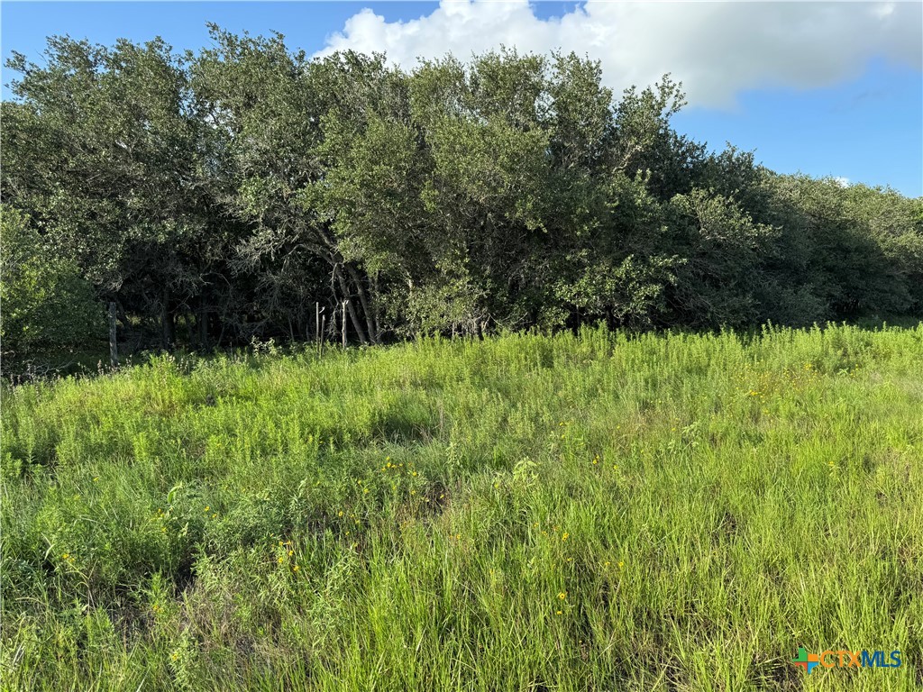000 County Road 18 61.46 Acres Tract 2 & 3 Property Photo 34