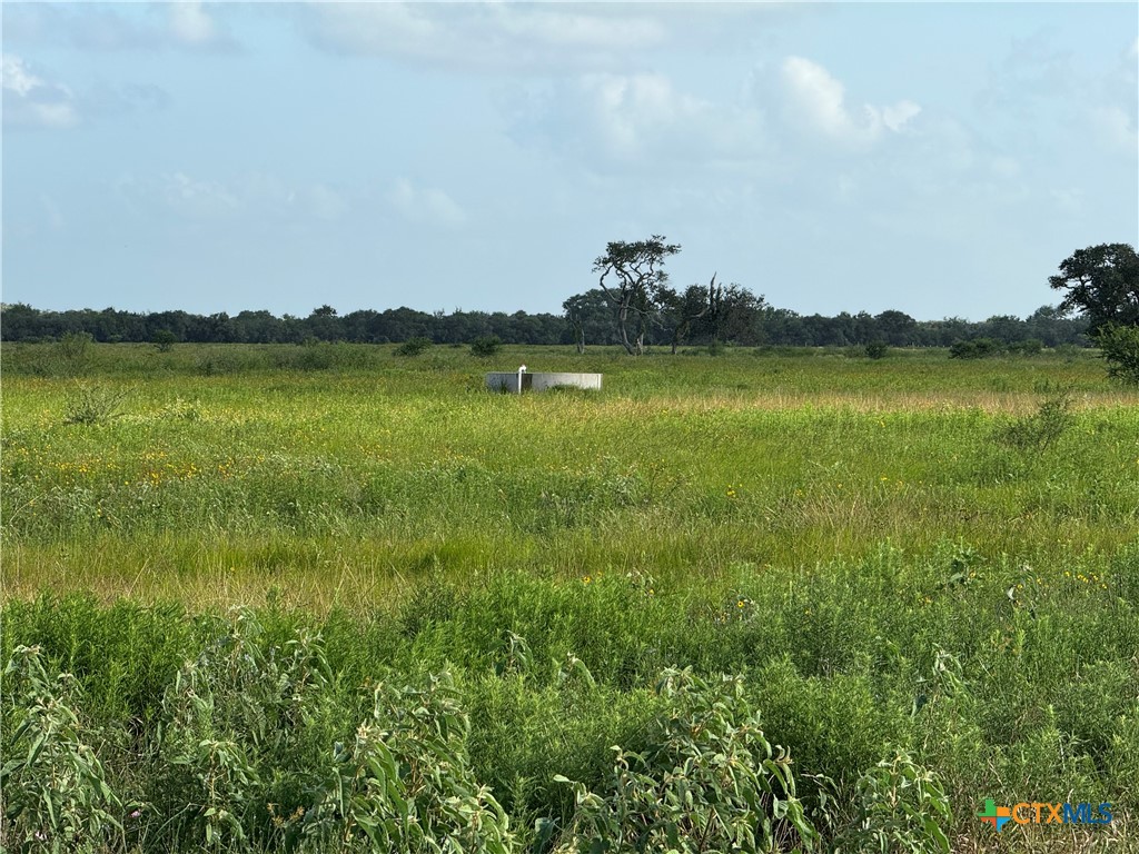 000 County Road 18 61.46 Acres Tract 2 & 3 Property Photo 36