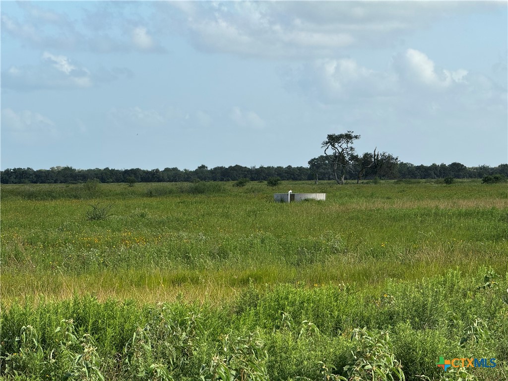 000 County Road 18 61.46 Acres Tract 2 & 3 Property Photo 37
