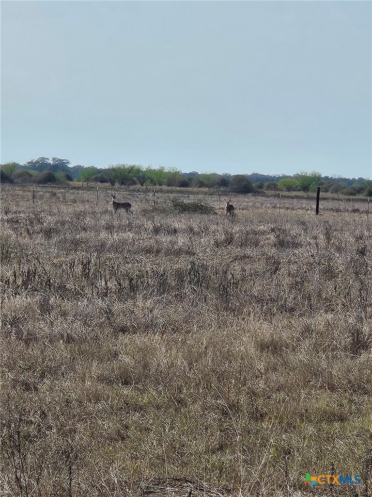 000 County Road 18 30.73 Acres Tract 2 Property Photo 8