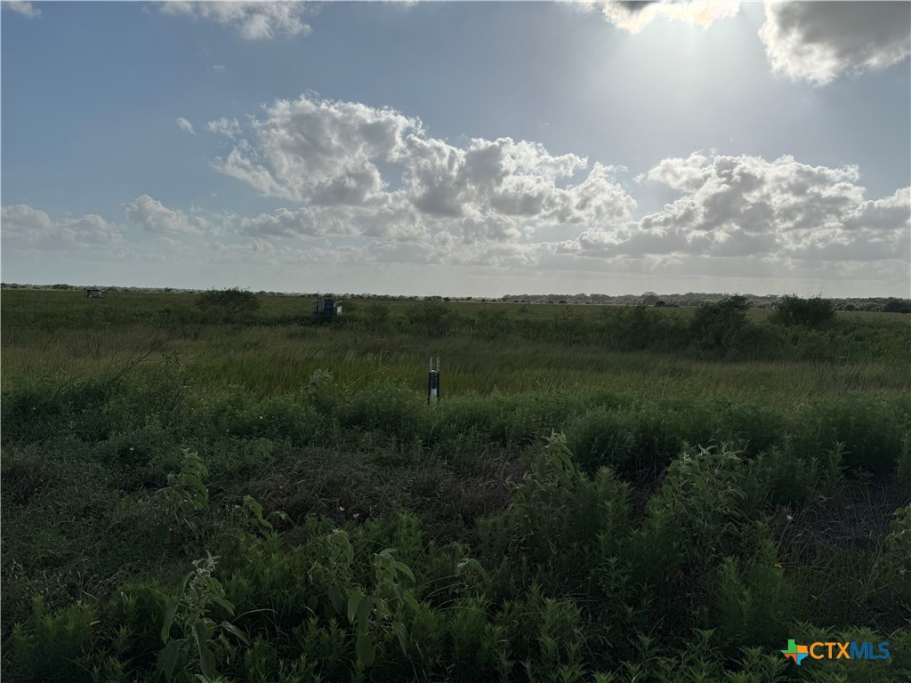 000 County Road 18 30.73 Acres Tract 2 Property Photo 22