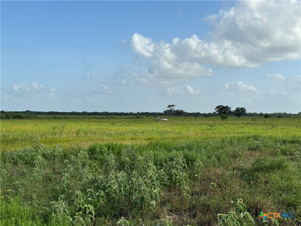 000 County Road 18 30.73 Acres Tract 2 Property Photo 37