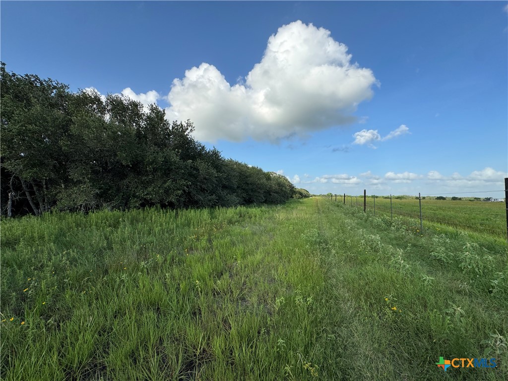 000 County Road 18 30.73 Acres Tract 3 Property Photo 6