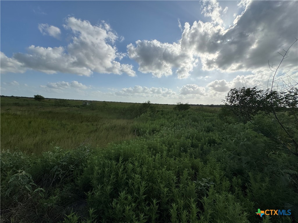 000 County Road 18 30.73 Acres Tract 3 Property Photo 17
