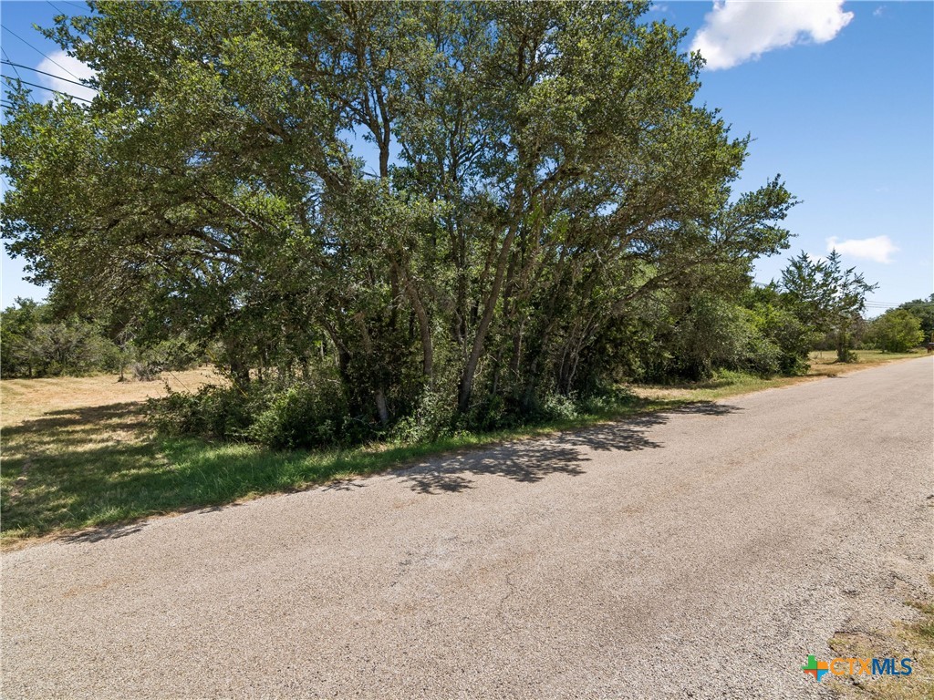 249 Grande Street Property Photo 5