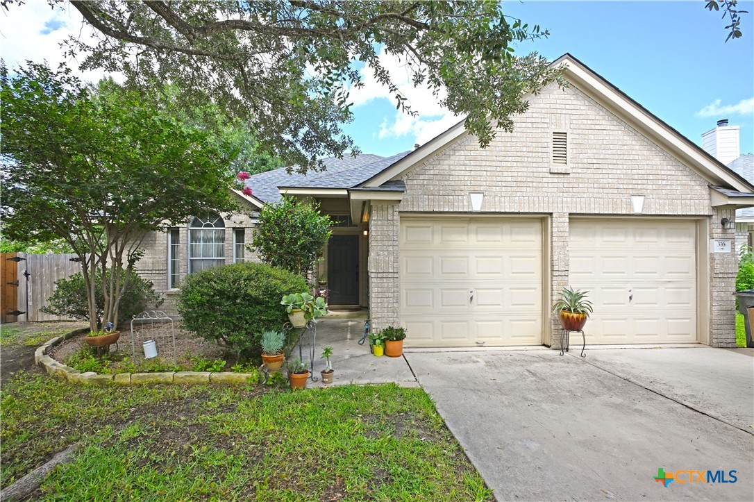 316 Meadow Park