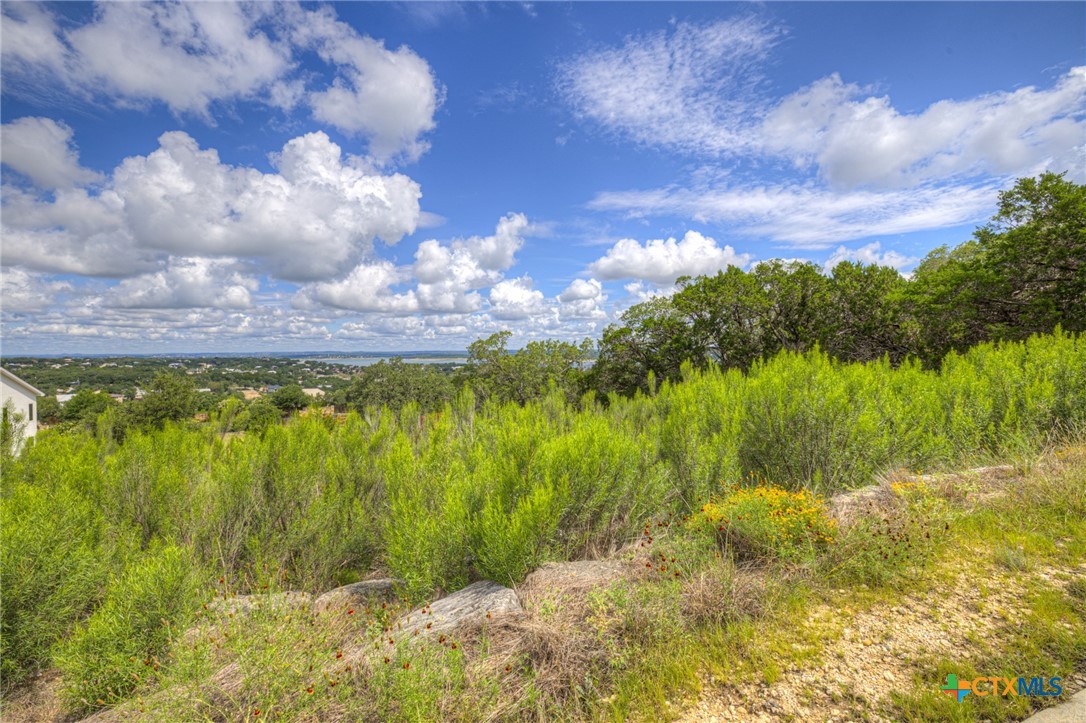 980 El Capitan Trail Property Photo 6
