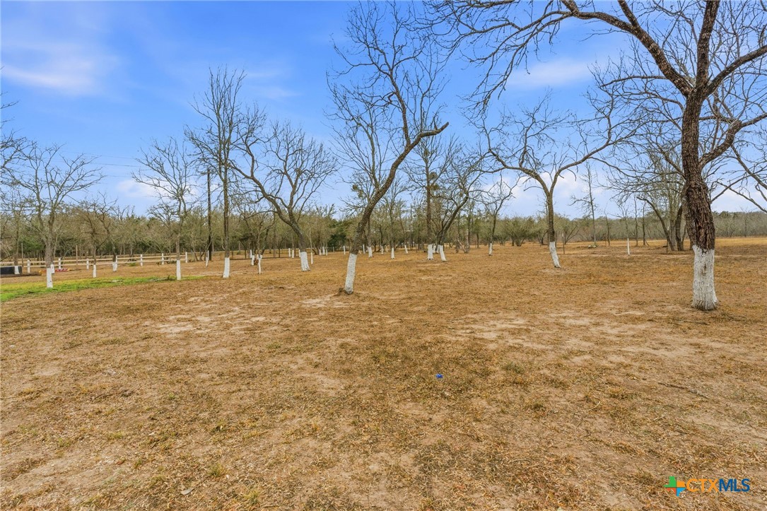 1278 Fm 812 Property Photo 6