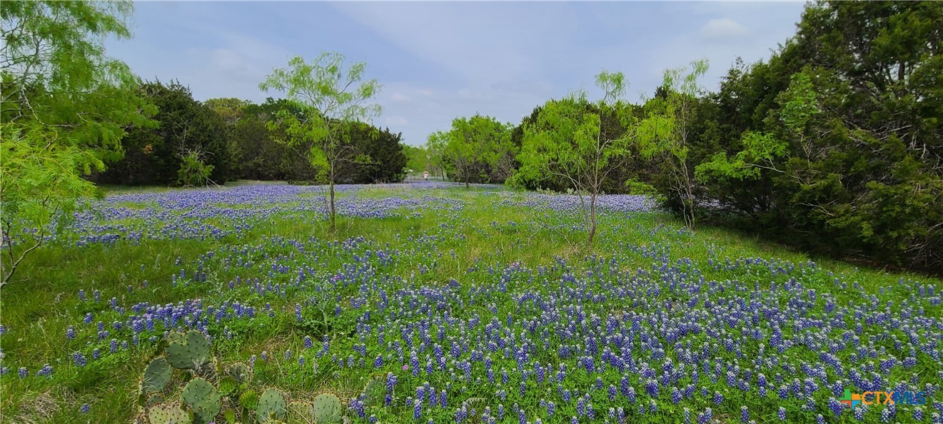 Tbd Us Hwy 190 E Property Photo 1