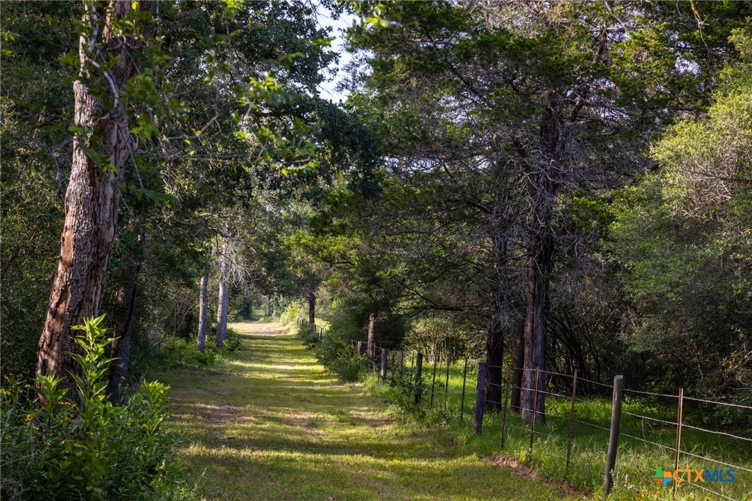 10488 Hwy 304 Property Photo 13