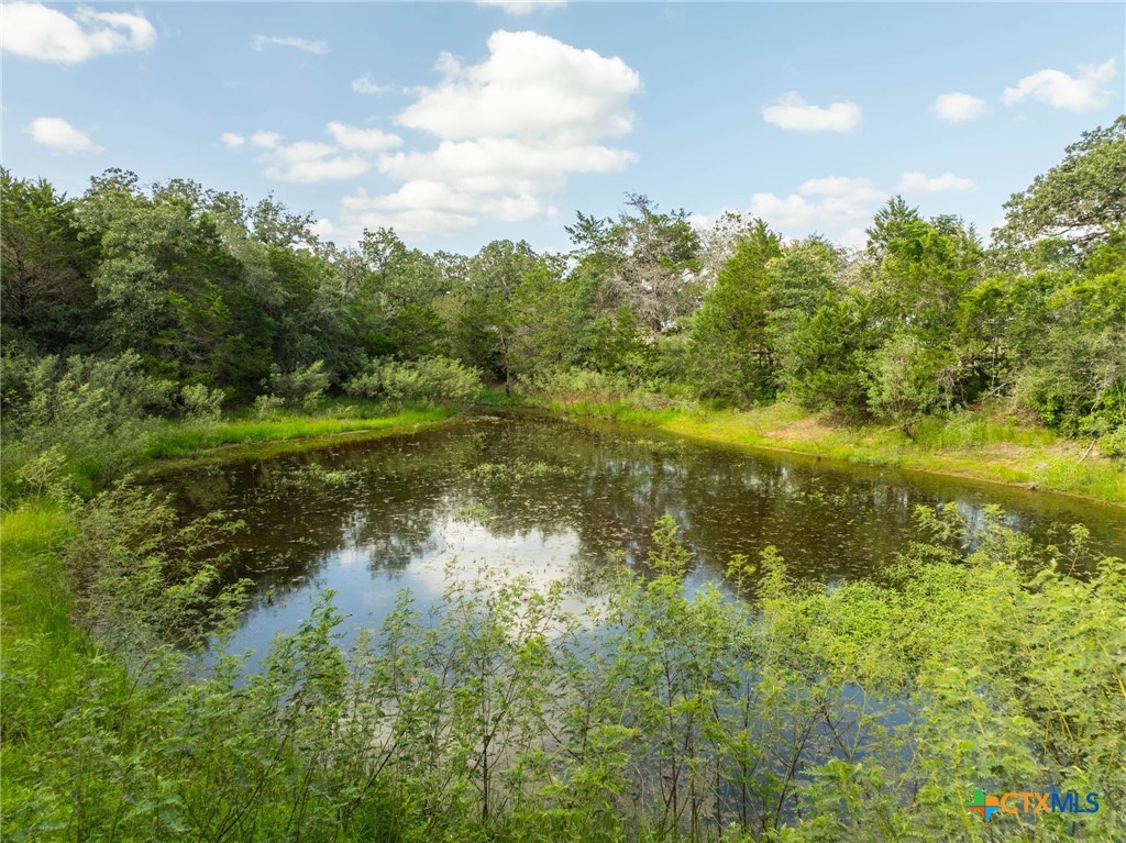 10488 Hwy 304 Property Photo 16