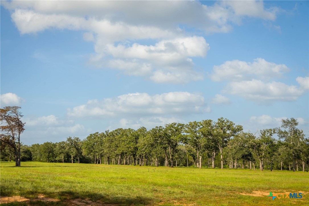 10488 Hwy 304 Property Photo 35