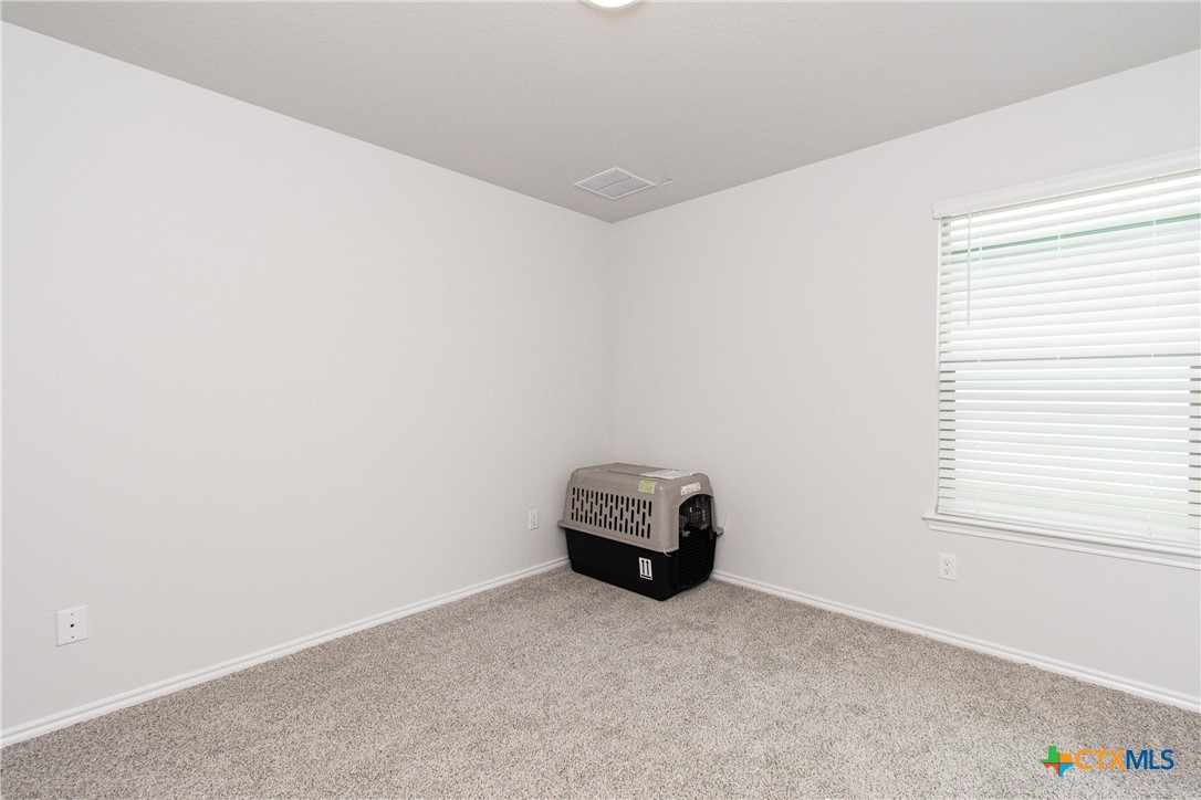 2342 Bee Creek Drive Property Photo 20
