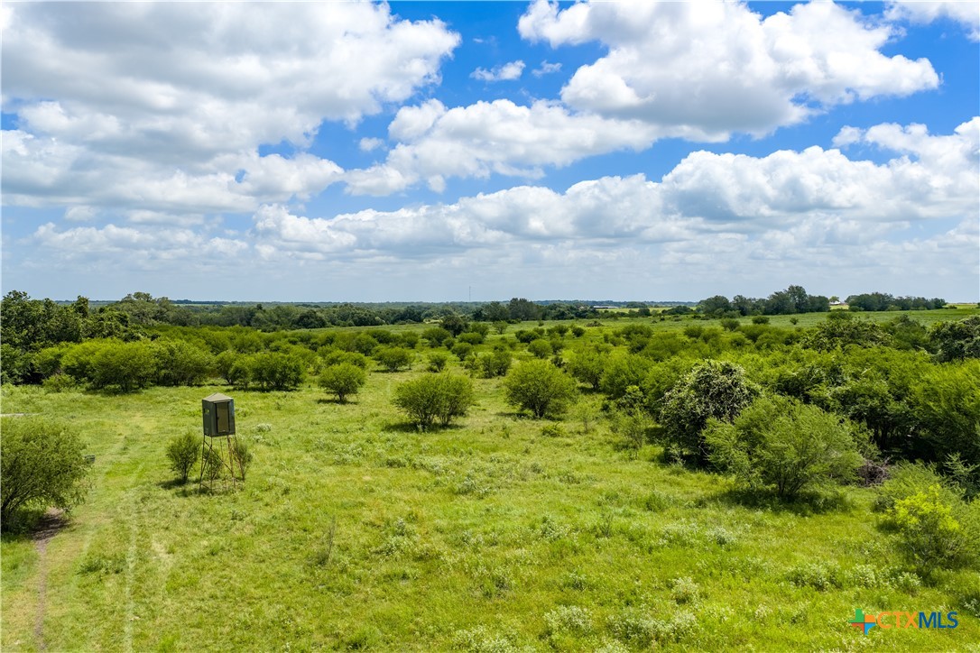 596 Hallemann Road Property Photo 1