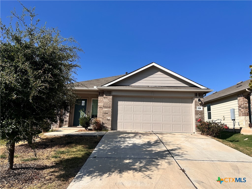 304 Fall Aster Drive Property Photo 2