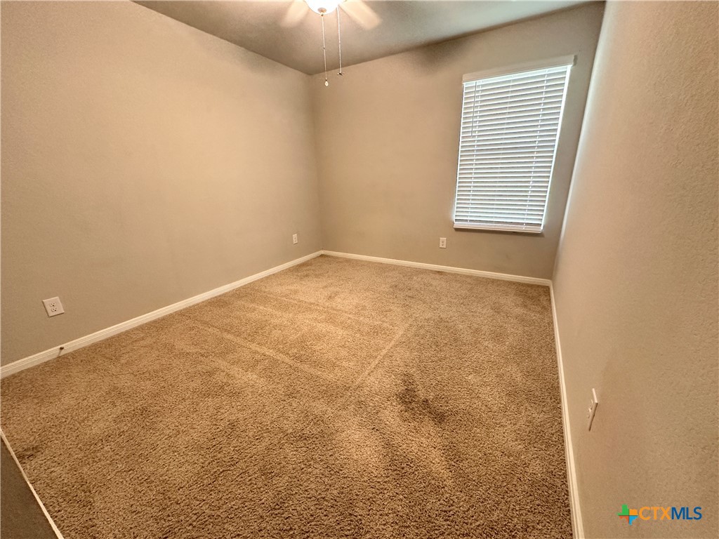 304 Fall Aster Drive Property Photo 5