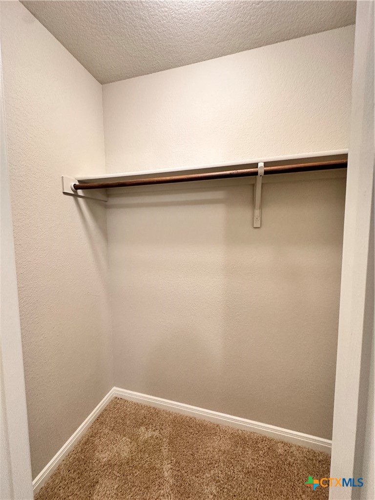 304 Fall Aster Drive Property Photo 7