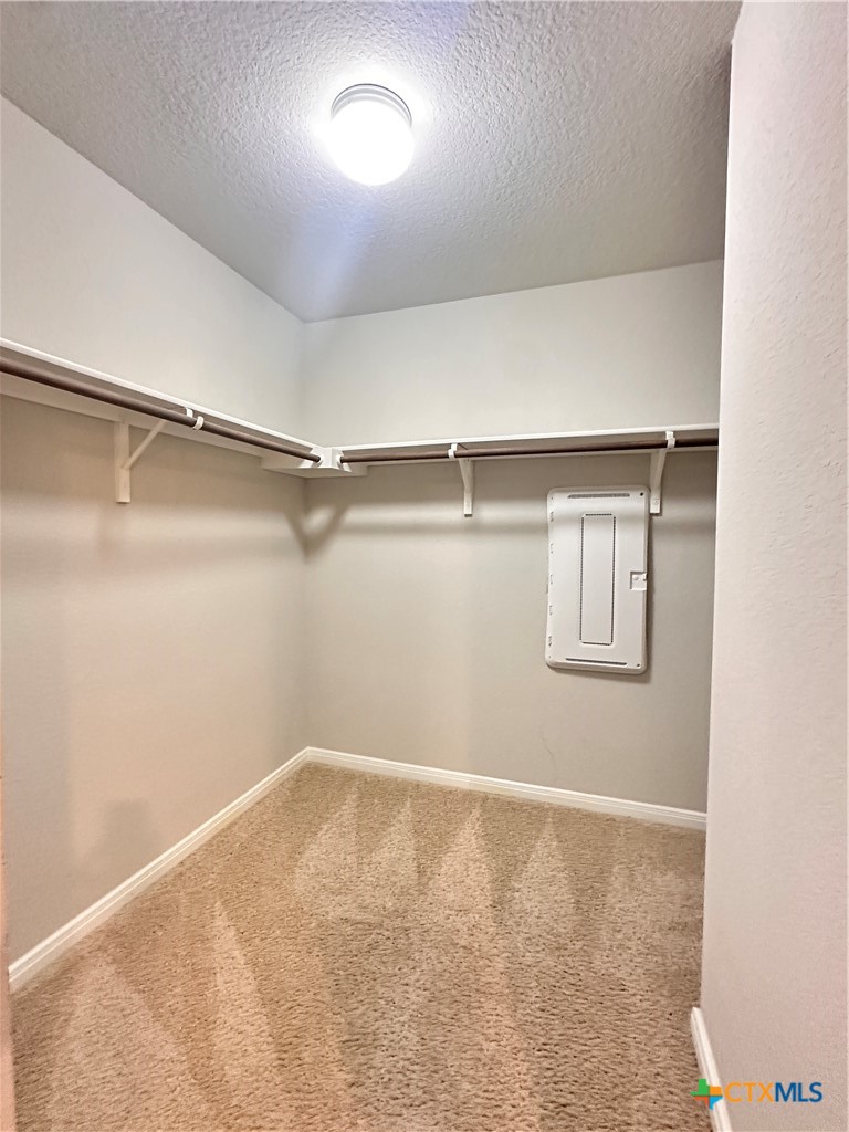 304 Fall Aster Drive Property Photo 8