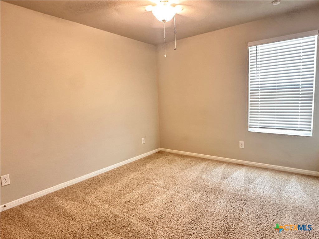 304 Fall Aster Drive Property Photo 15
