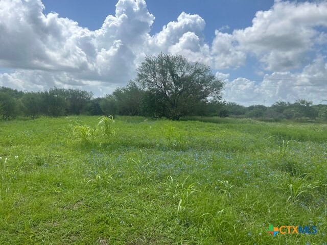 268 W Oaks Property Photo 5