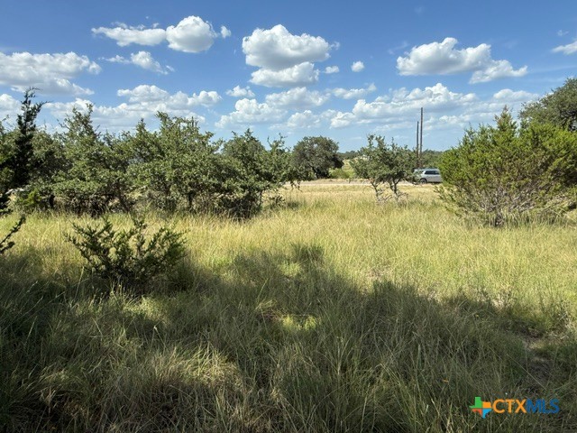 137 W Pat Dolan Property Photo 5