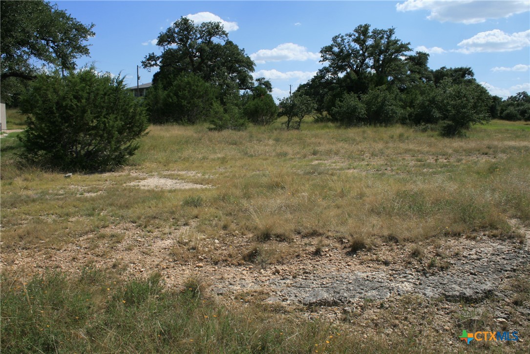 137 W Pat Dolan Property Photo 12