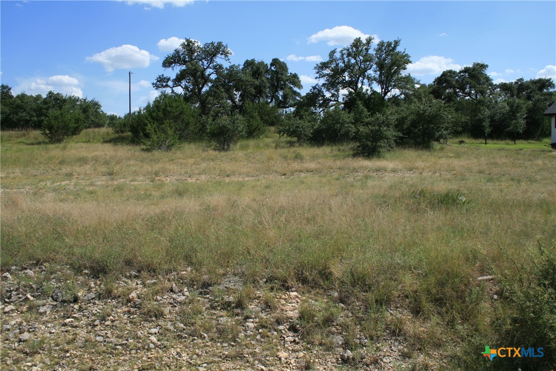 137 W Pat Dolan Property Photo 13