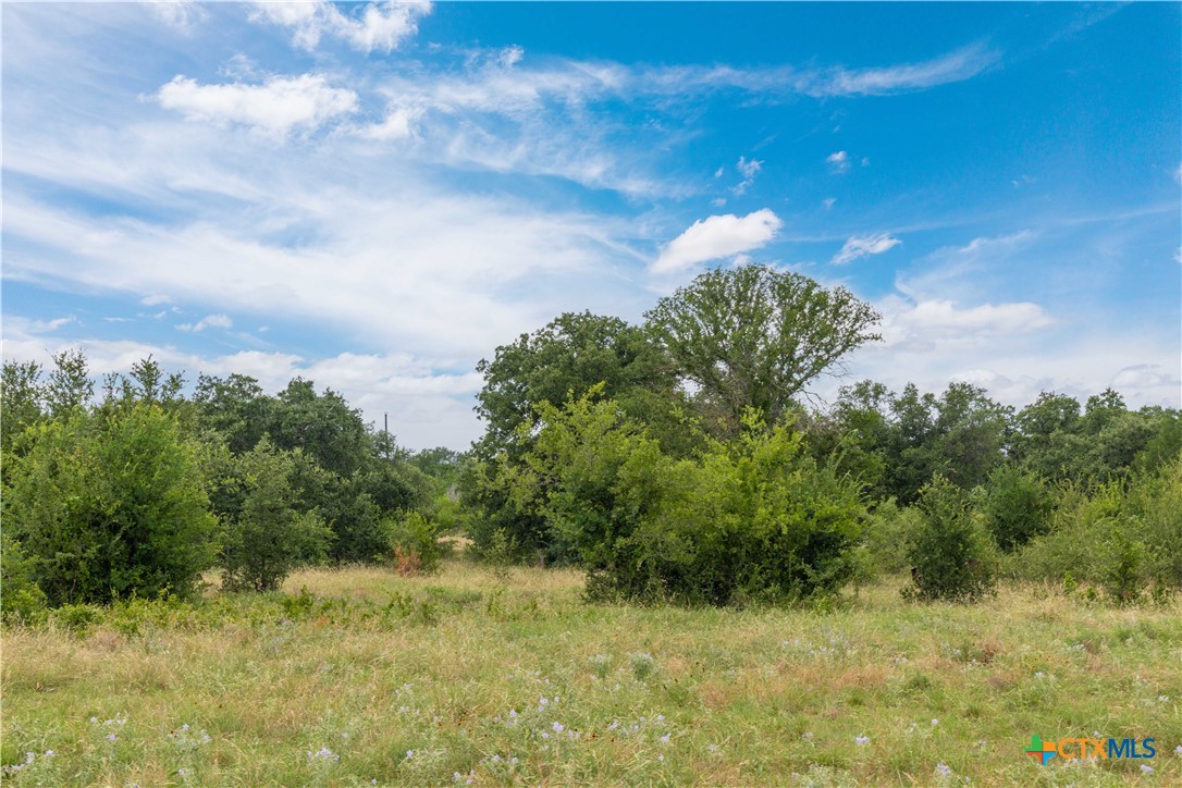 8160 Fm 2412 Property Photo 17