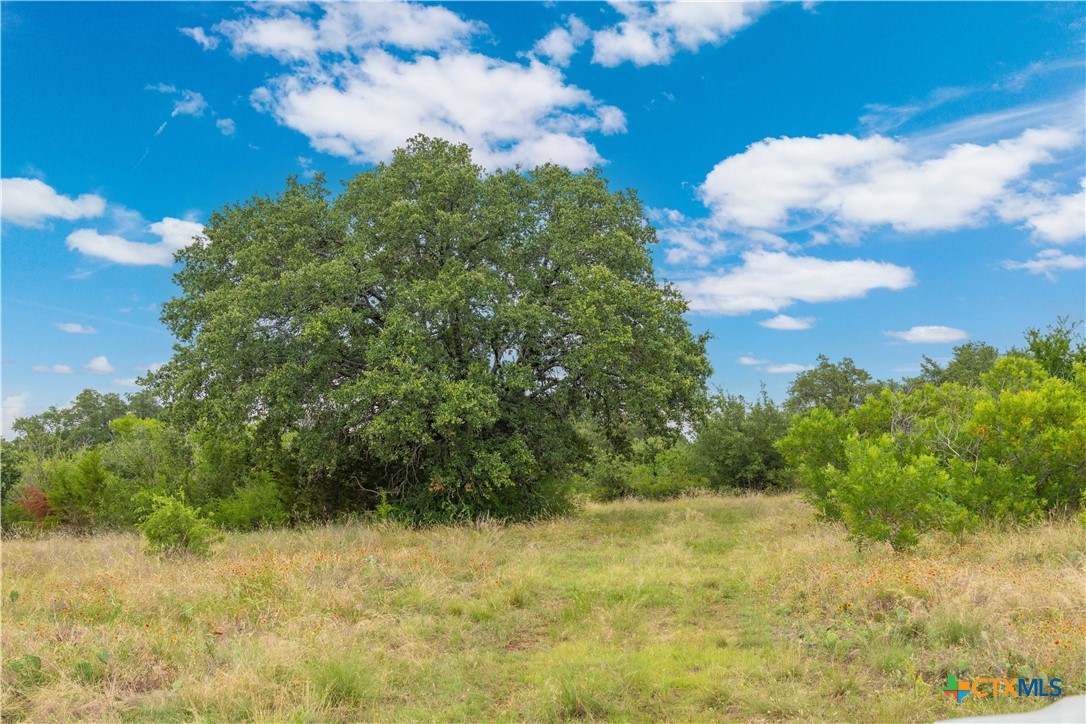 8160 Fm 2412 Property Photo 18