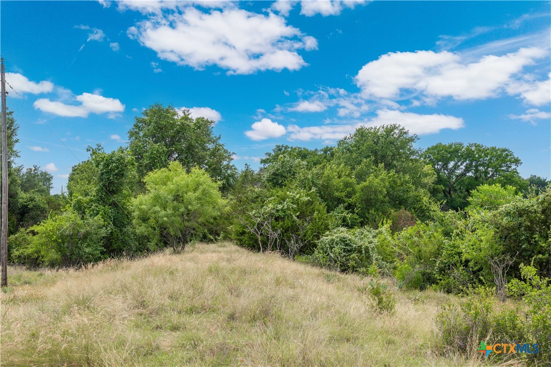 8160 Fm 2412 Property Photo 19