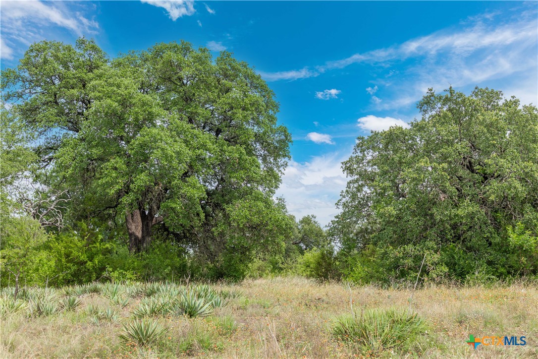 8160 Fm 2412 Property Photo 21
