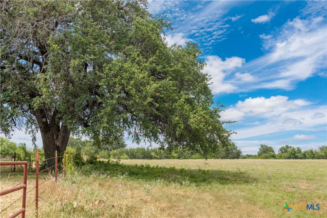 8160 Fm 2412 Property Photo 22