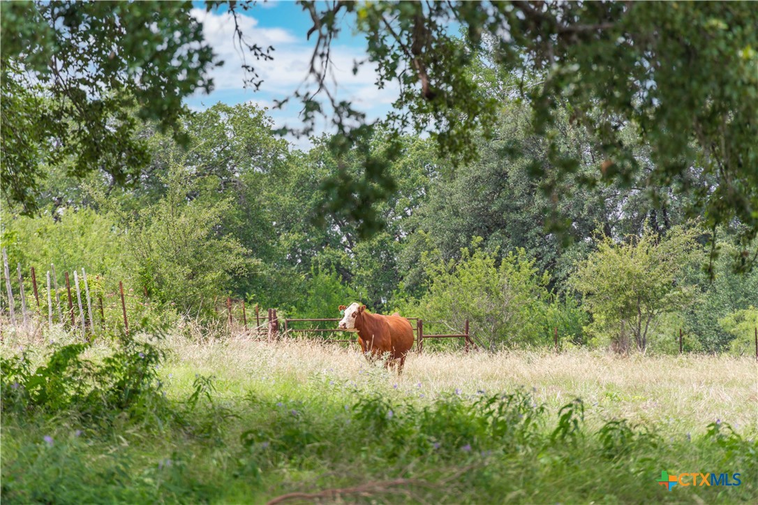 8160 Fm 2412 Property Photo 23