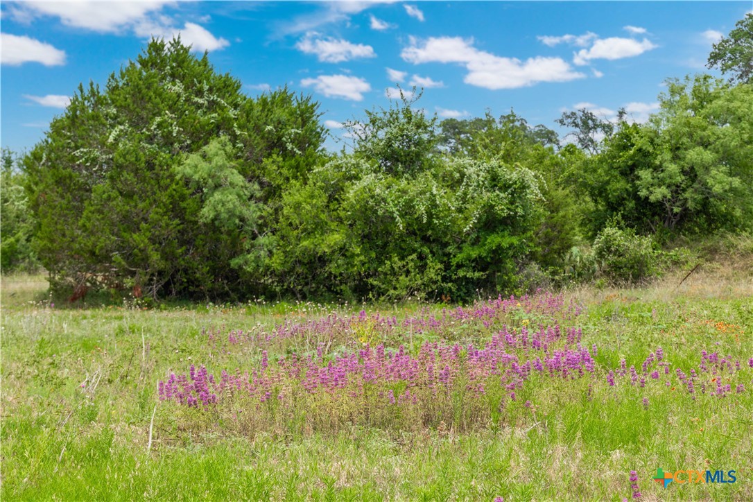 8160 Fm 2412 Property Photo 25