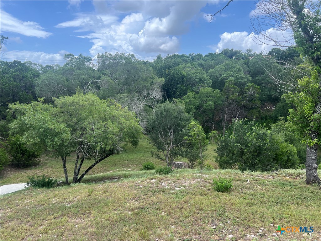 439 Twilight Drive Property Photo 1