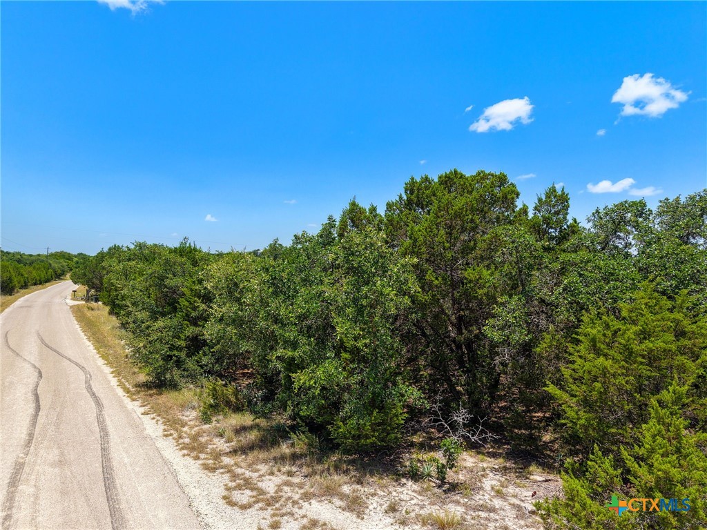 Lot W County Road 3106 Property Photo 5