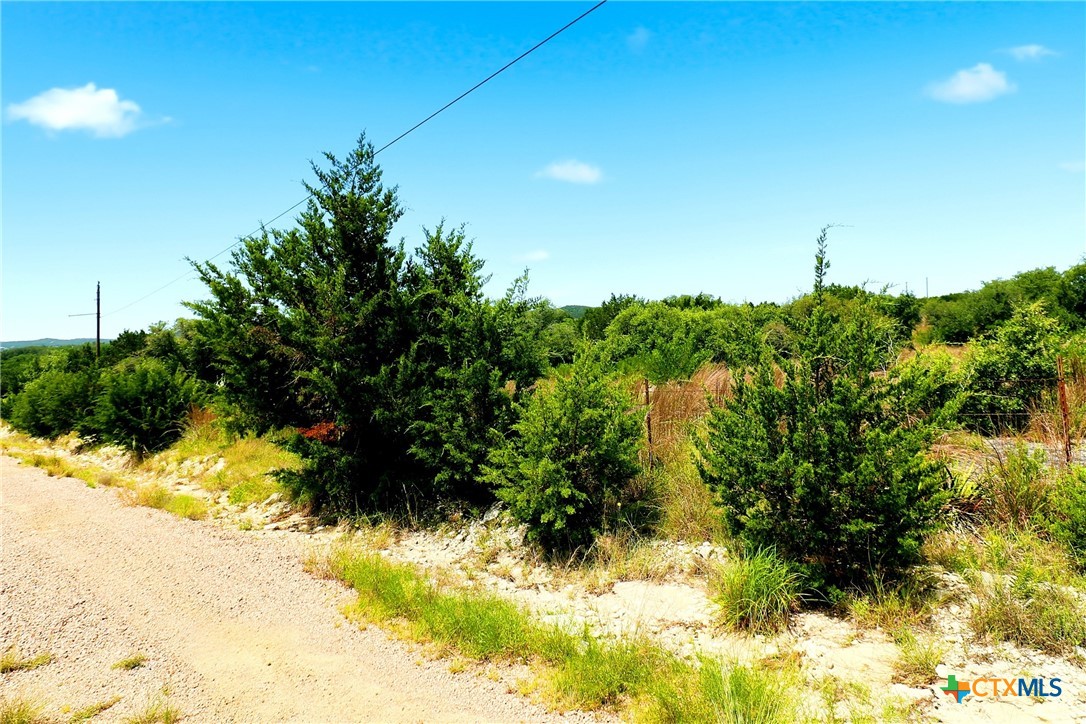 Tbd Mountain Creek Ranch Property Photo 18