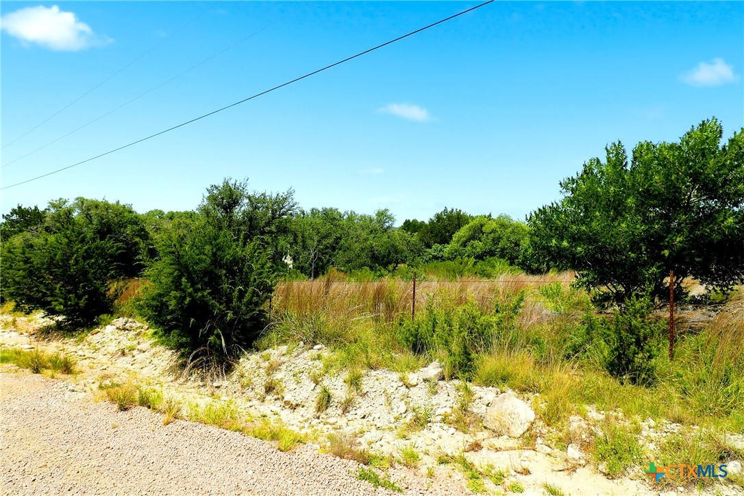 Tbd Mountain Creek Ranch Property Photo 19