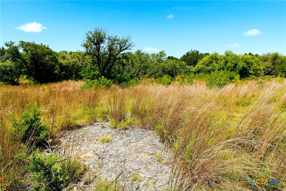 Tbd Mountain Creek Ranch Property Photo 21