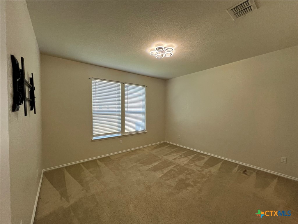 338 Mistflower Property Photo 13